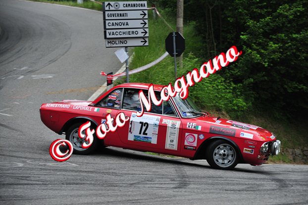 DSC_6916.jpg